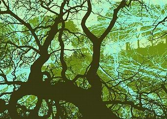 INTO THE FOREST 10