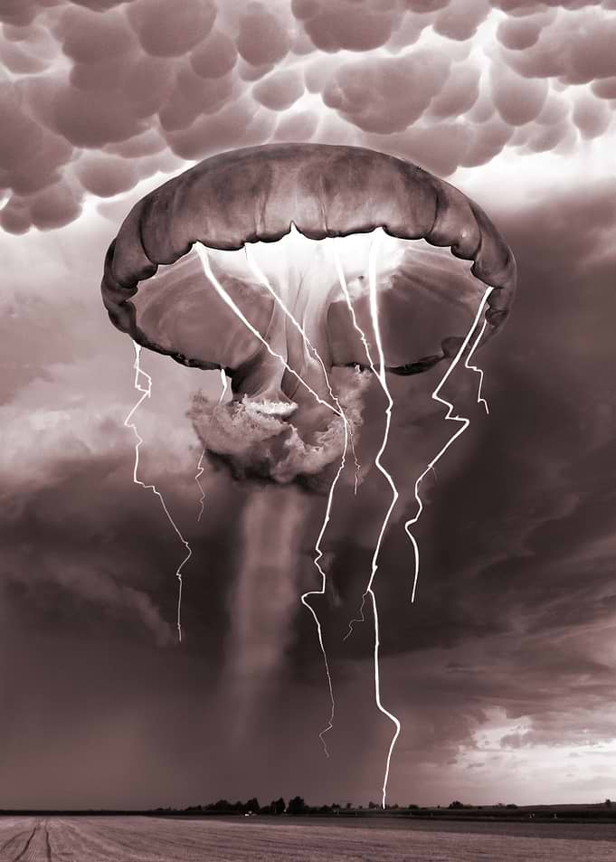 Crazy weather