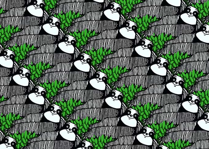 In the forest of Sloths