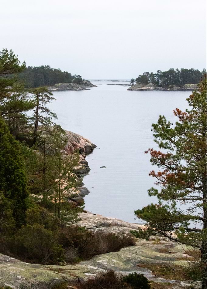 Swedish Archipelago Gaze