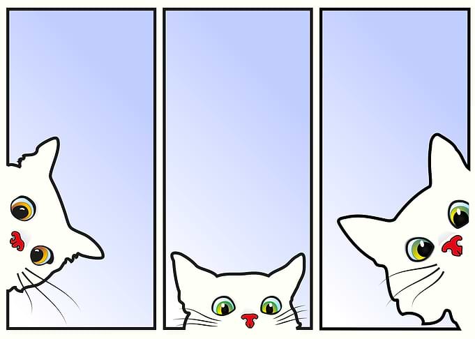 Cartoon cats