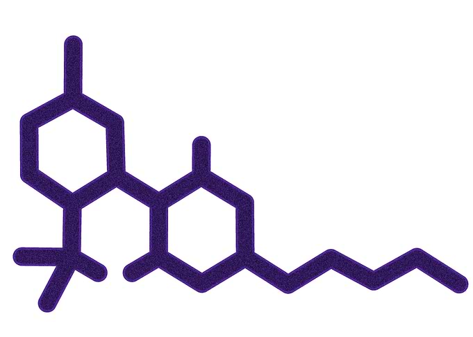 SIG