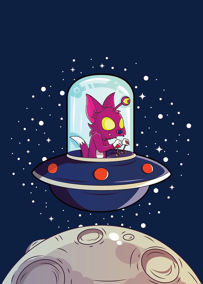 Space Cat