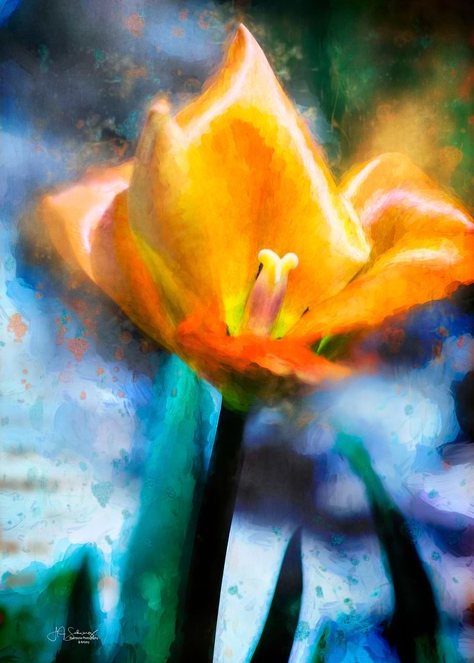 Painterly Tulip