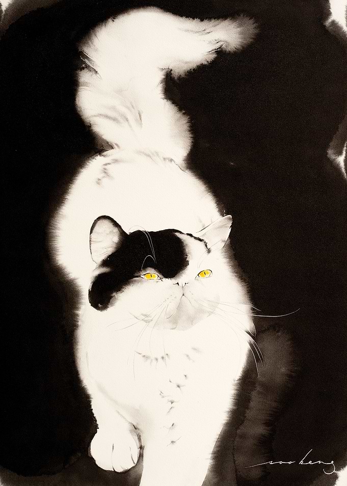 Cat Walk2