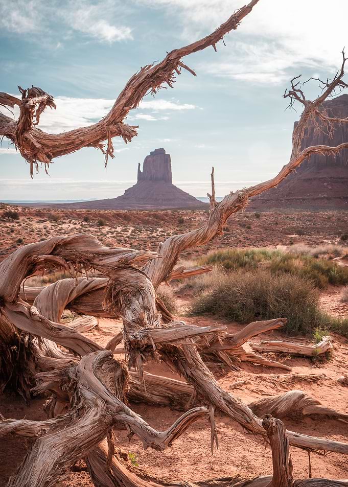 Monument Valley II