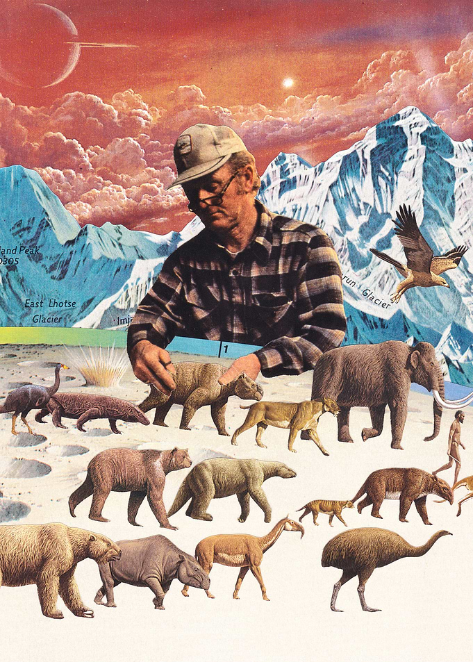Evolution [collage]