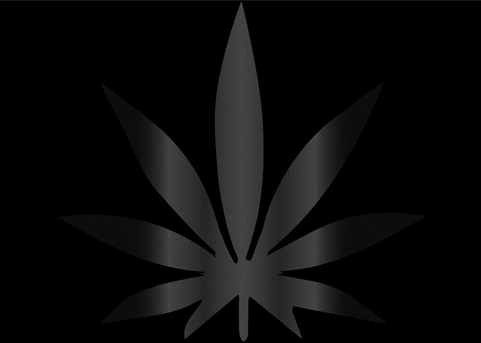 Muted Leaf