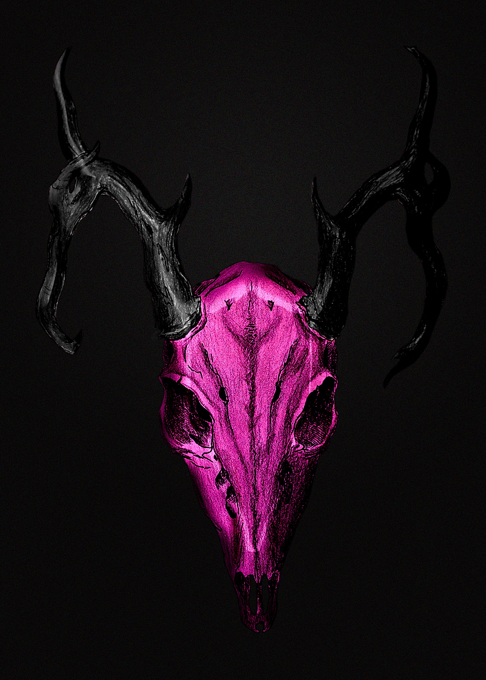 Deer skull Purple