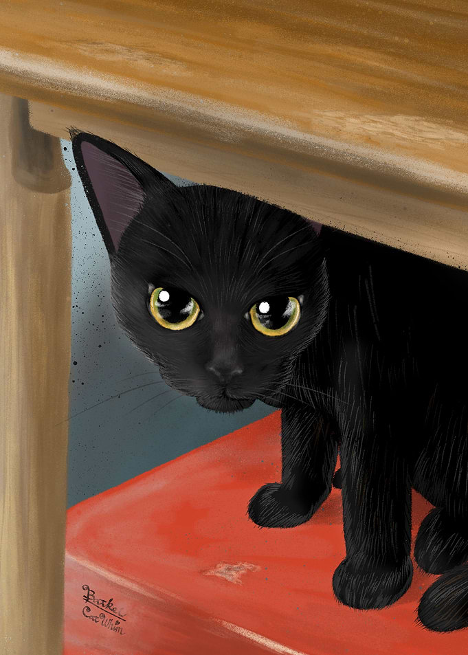 Under the table
