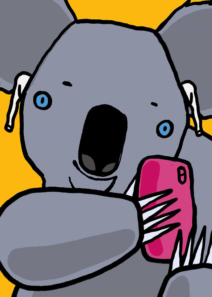 Music Koala