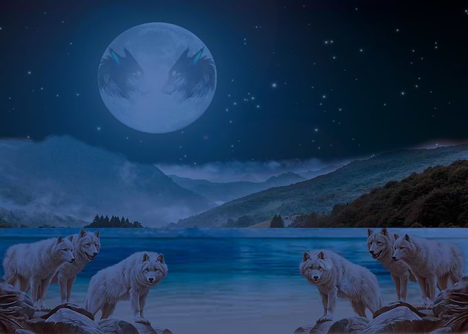 The Silver Wolves