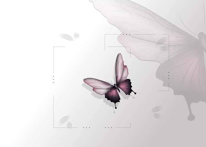 butterfly floral print