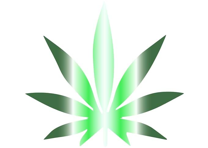 Future Leaf