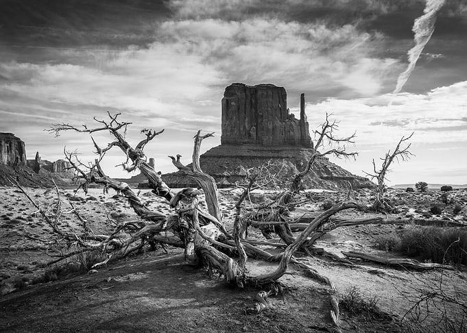 Monument Valley I