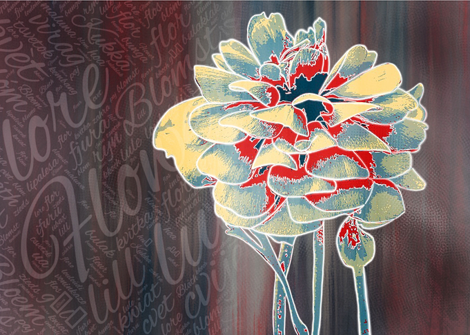Flower 4 Dahlia 3
