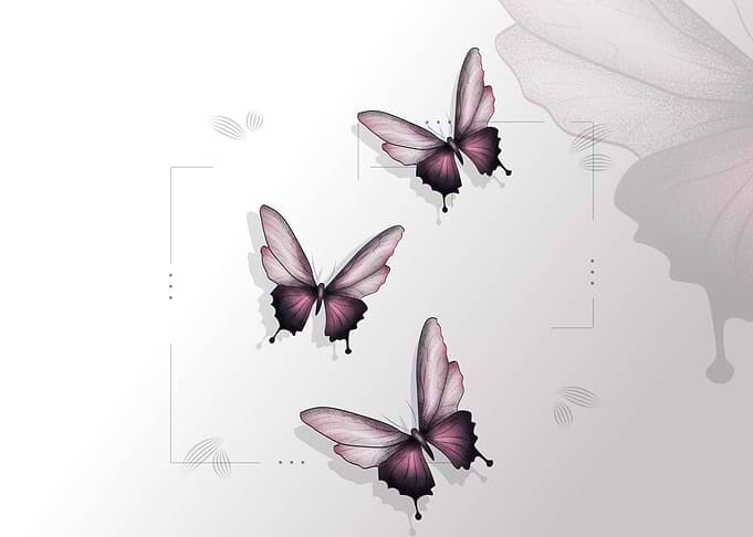 butterfly print