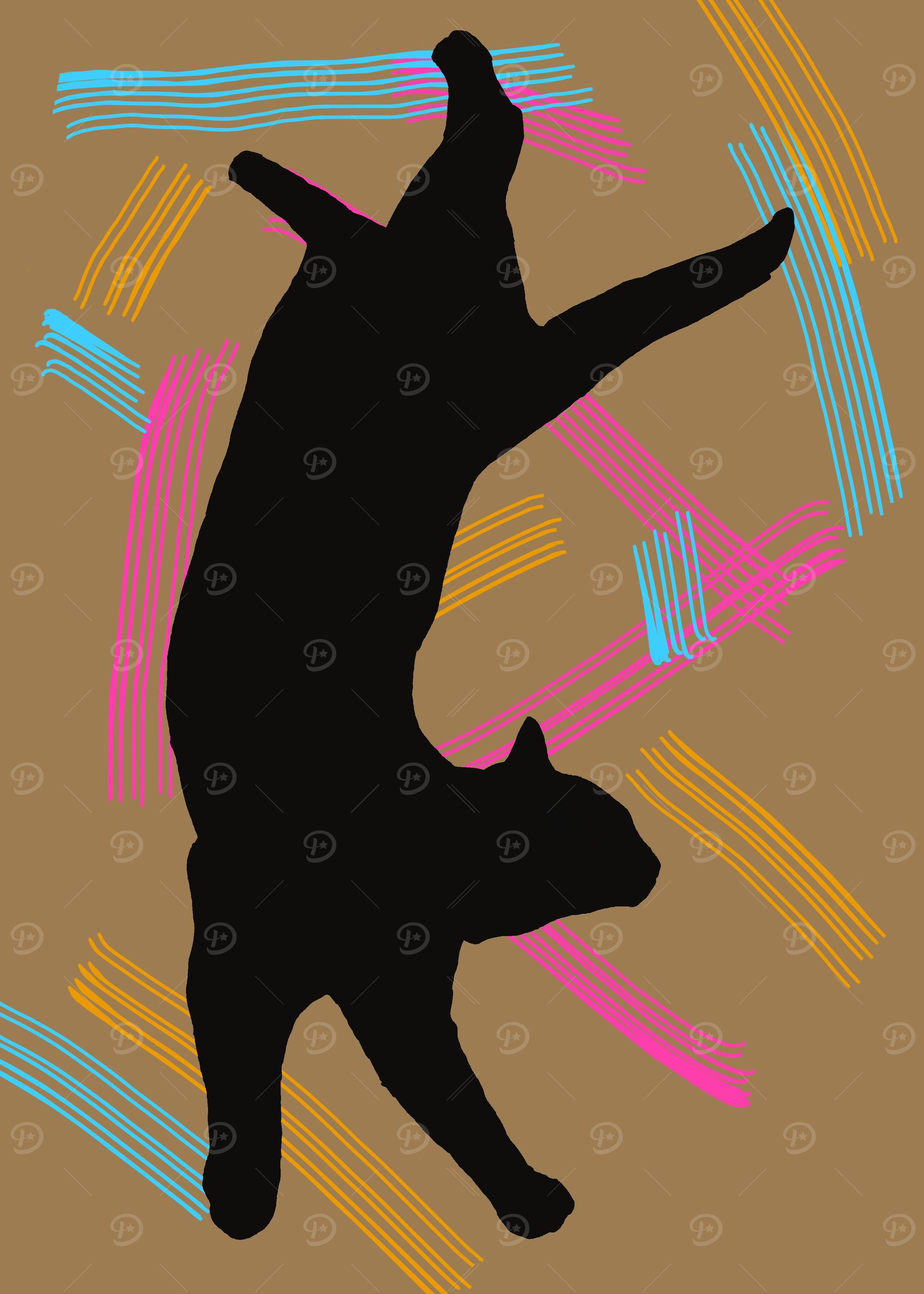 Lying cat 2