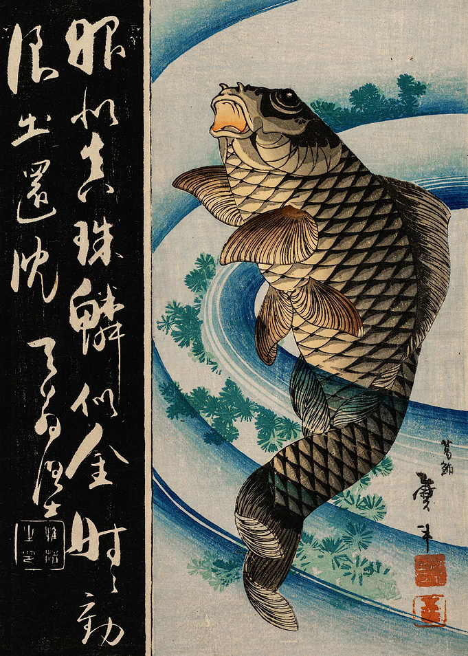 Carp poster