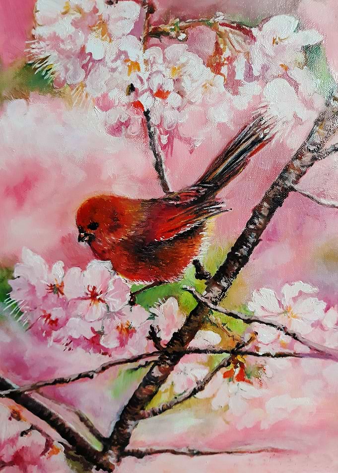 Cherry blossom red bird