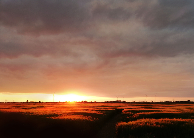 Sunset over