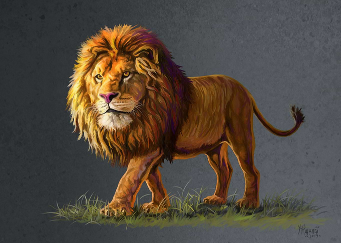 The Bold and Wild