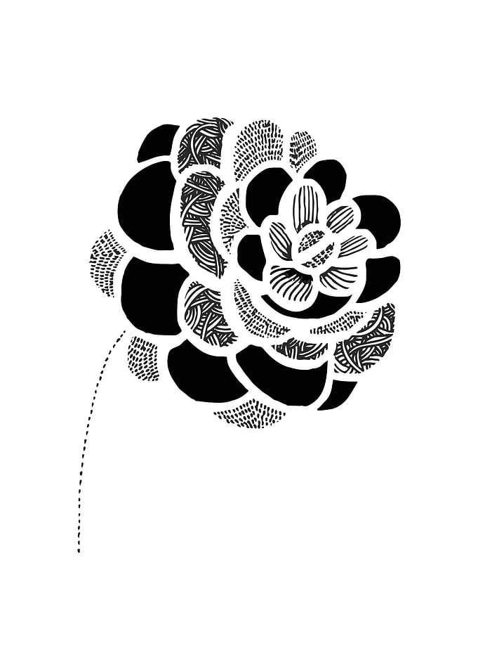 Camellia Ink