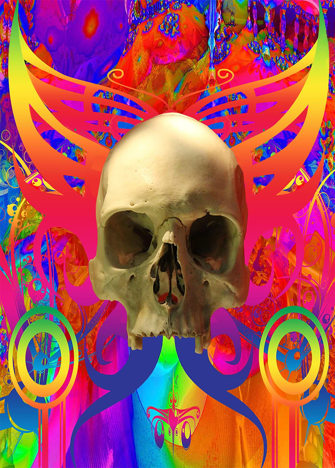 Skull Butterfly