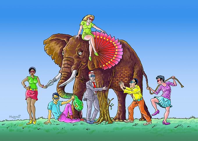 The Blind and the Elephant