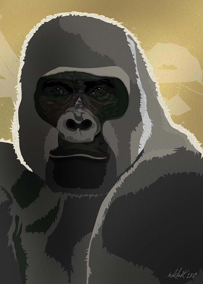 The Ape
