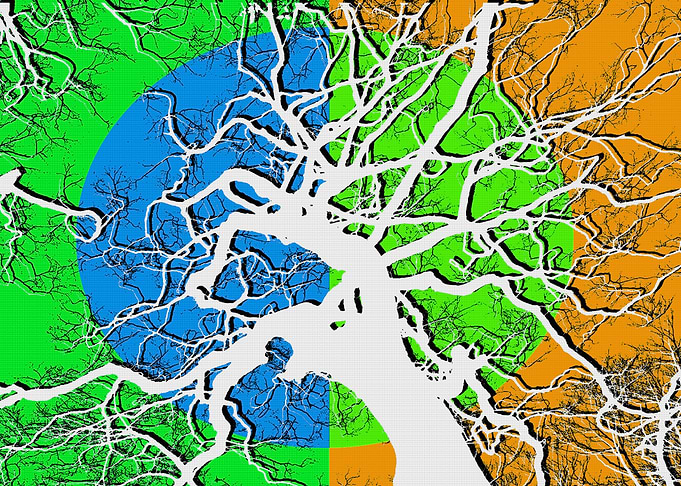 INTO THE FOREST 4