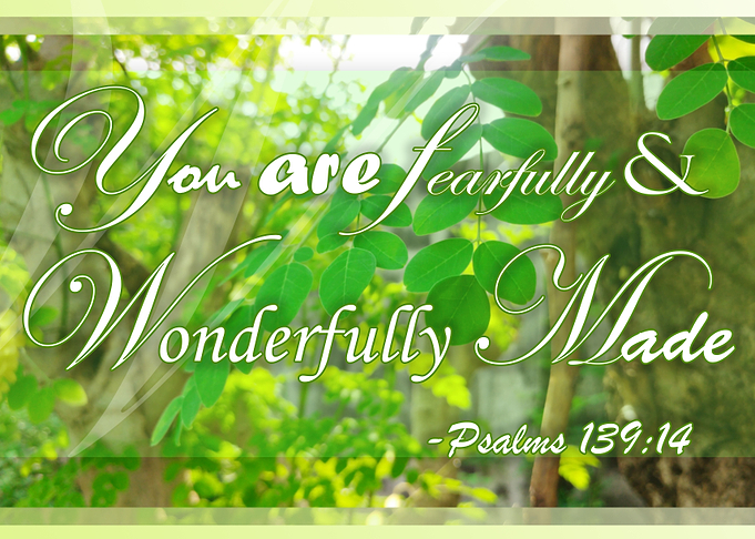 FEARFULLY MADE