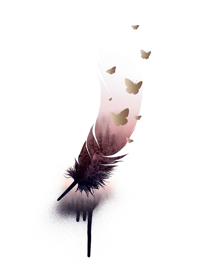Forest in feather