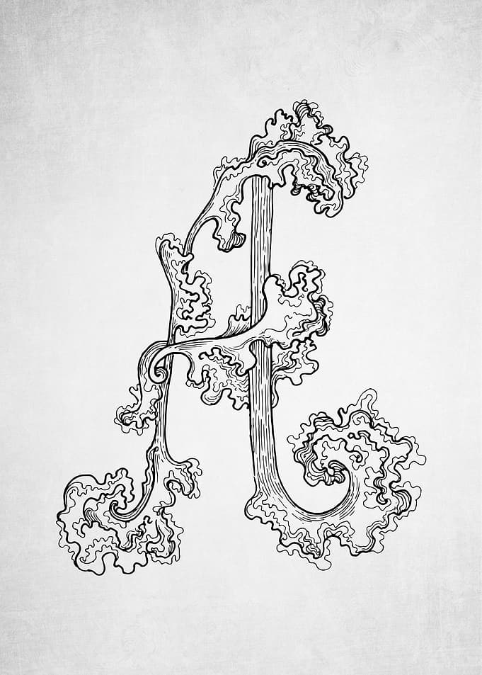 Aquarius Waves