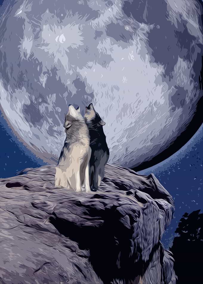 Night Call
