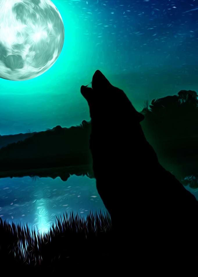 Cool summer night