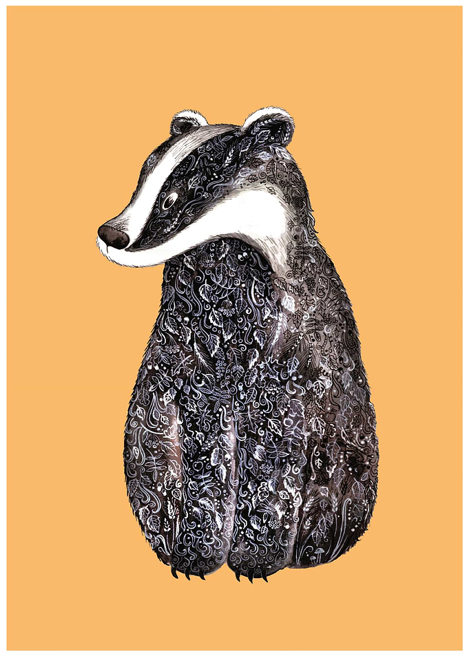Badger