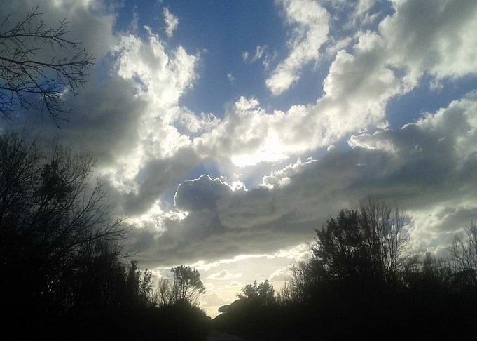 Reverie 4