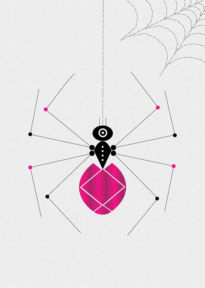 Spider