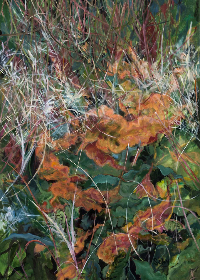 Fireweed Seeding