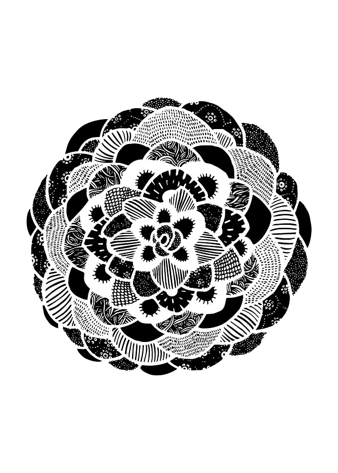 Camellia The Center