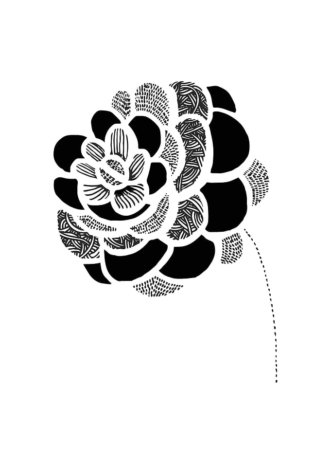 Camellia Ink2