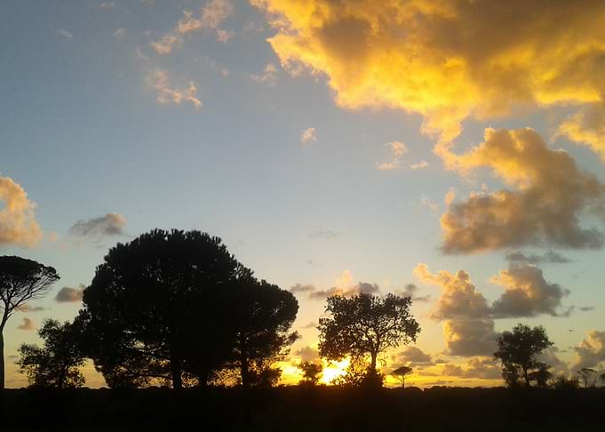 Sunset skyline 1