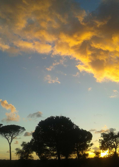 Sunset skyline 2