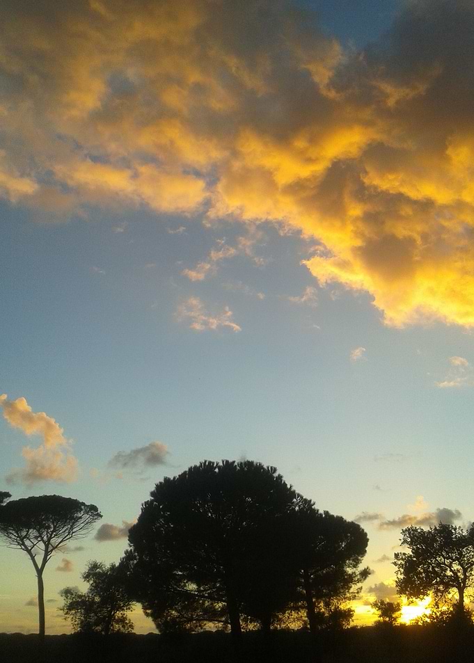 Sunset skyline 2