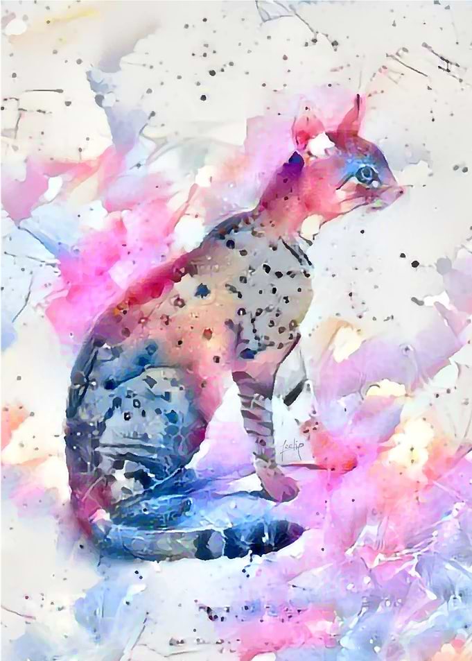 Dainty Leopard Cat