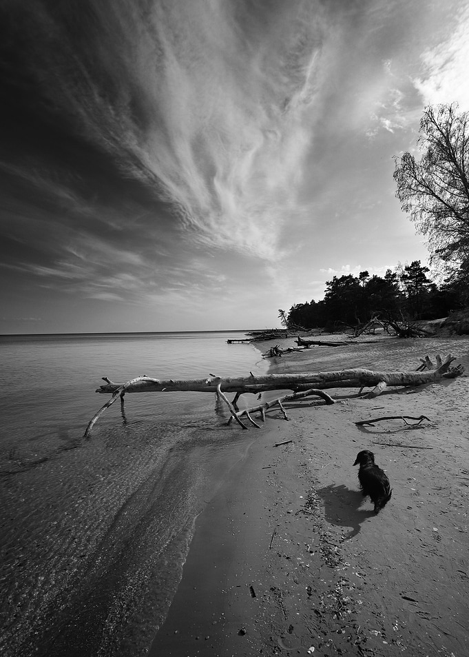 Wild Beach