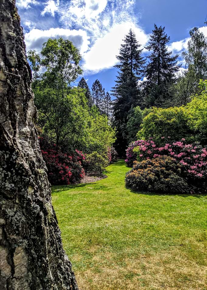 Valley Gardens