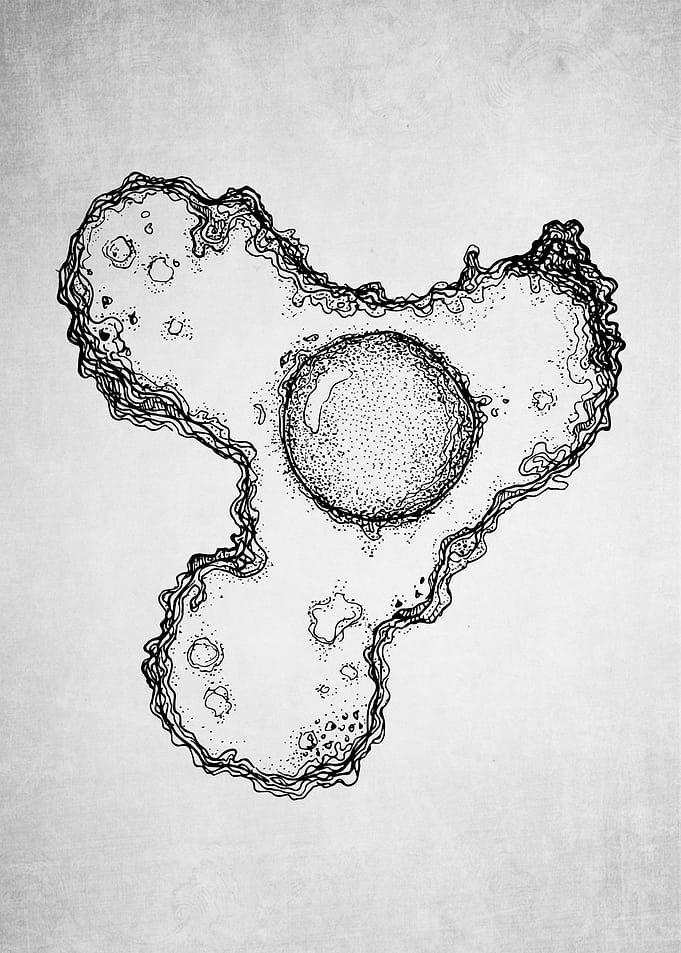 Island Of Yolk