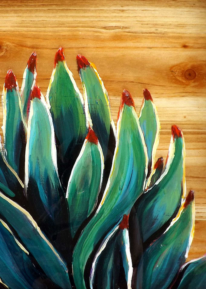 Agave on Wood